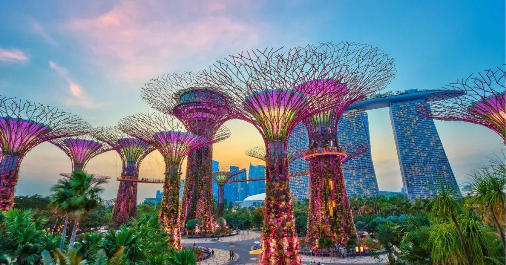 singapore marina bay sands super tree grove