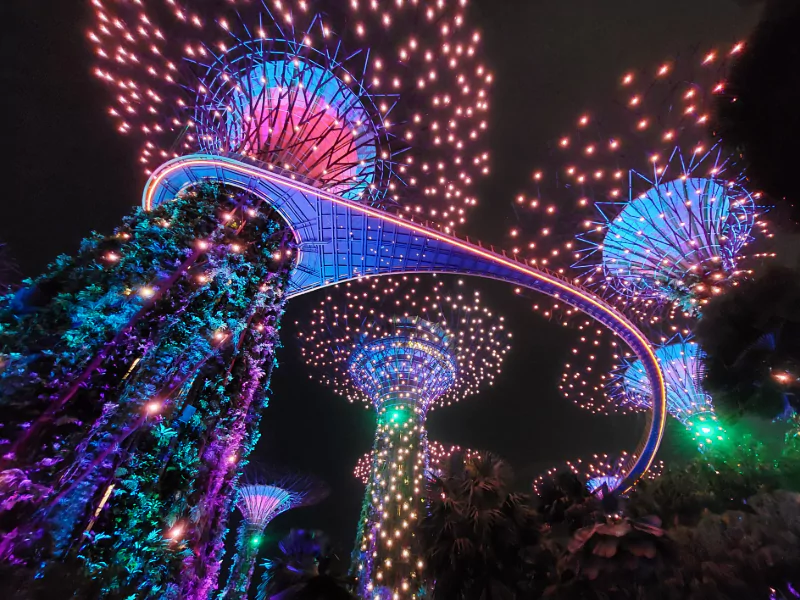 super tree grove singapore