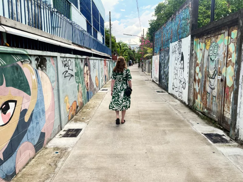 Chiang Mai Old Town Walking Street Art